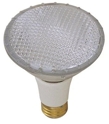 Track lighting with a decorative track designSylvania Capsylite Halogen Flood Lamp Par38 80 Watts 120 Volts Medium Skirted 10 Deg. Beam 10 Per Case Track lighting with a decorative track designSylvania Capsylite Halogen Flood Lamp Par38 80 Watts 120 Volts Medium Skirted 10 Deg. Beam 10 Per Case