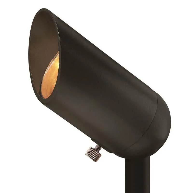 Track lighting with motion - sensor capabilitiesHinkley 1536 Landscape Accent Spot LED Light Track lighting with motion - sensor capabilitiesHinkley 1536 Landscape Accent Spot LED Light