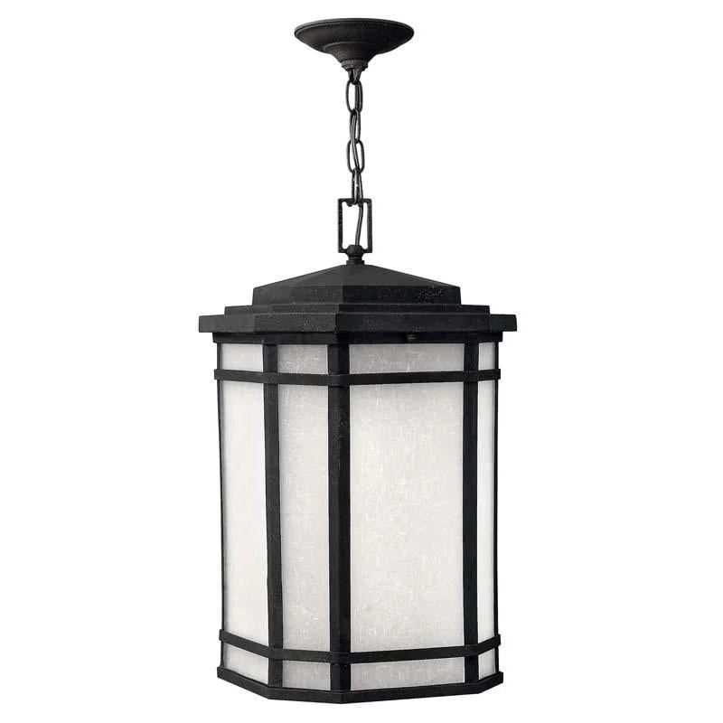 Smart track lighting with voice controlHinkley 1272VK Outdoor Cherry Creek Vintage Black Hanging Light Smart track lighting with voice controlHinkley 1272VK Outdoor Cherry Creek Vintage Black Hanging Light