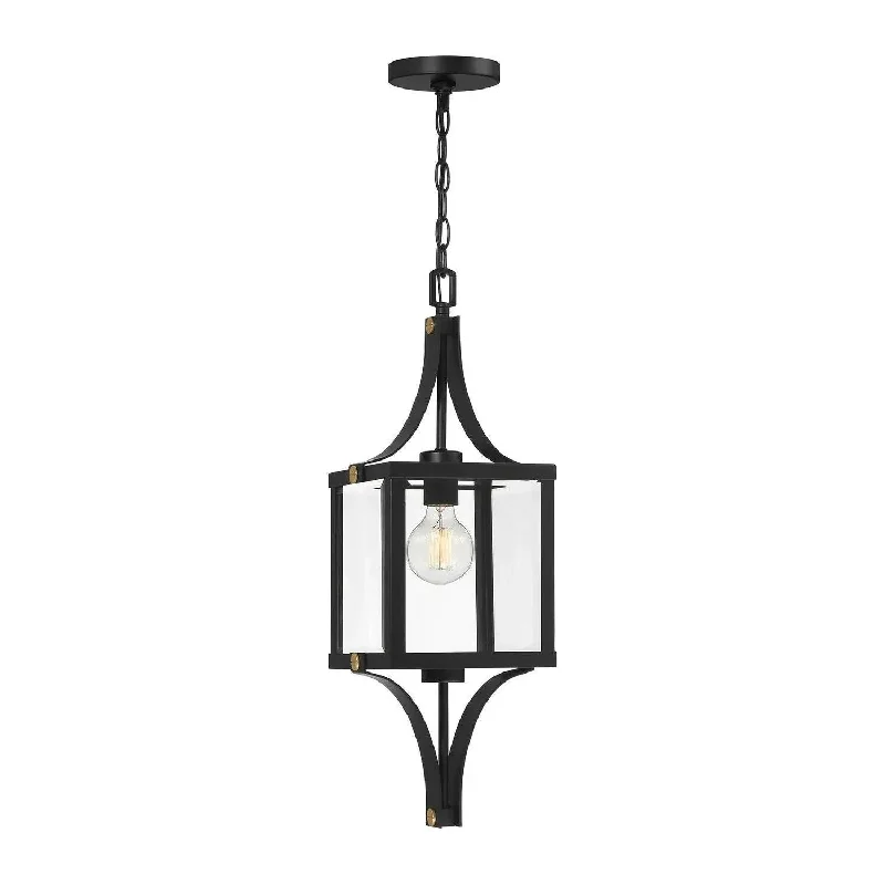 Track lighting with energy - star certificationRaeburn Outdoor Hanging Lantern
