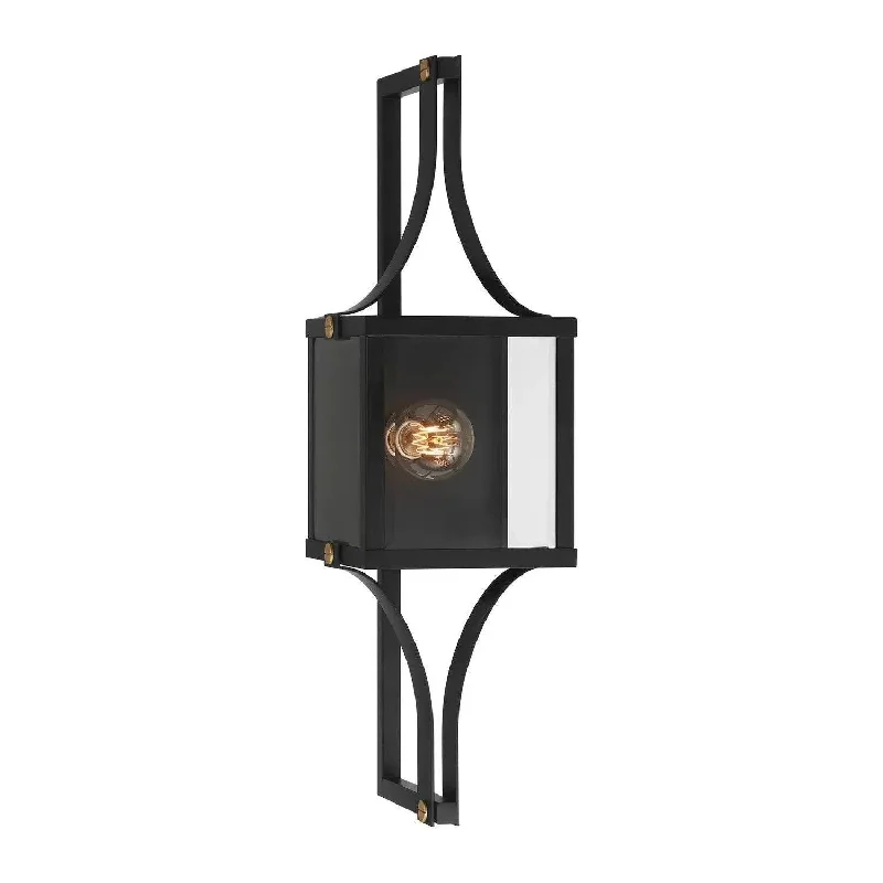 Track lighting for illuminating walkwaysRaeburn Outdoor Wall Lantern
