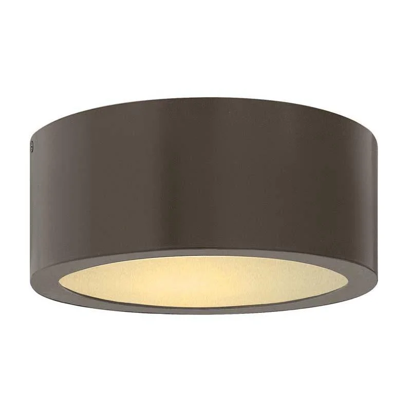 Track lighting for rental propertiesHinkley 1665 Outdoor Luna Ceiling Light