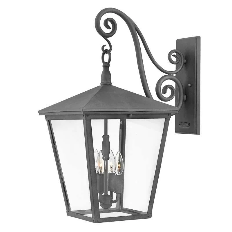 Track lighting with a decorative track designvictorian style wall lamps with intricate metalwork for traditional entrywaysHinkley 1438 Outdoor Trellis Wall Light Track lighting with a decorative track designvictorian style wall lamps with intricate metalwork for traditional entrywaysHinkley 1438 Outdoor Trellis Wall Light
