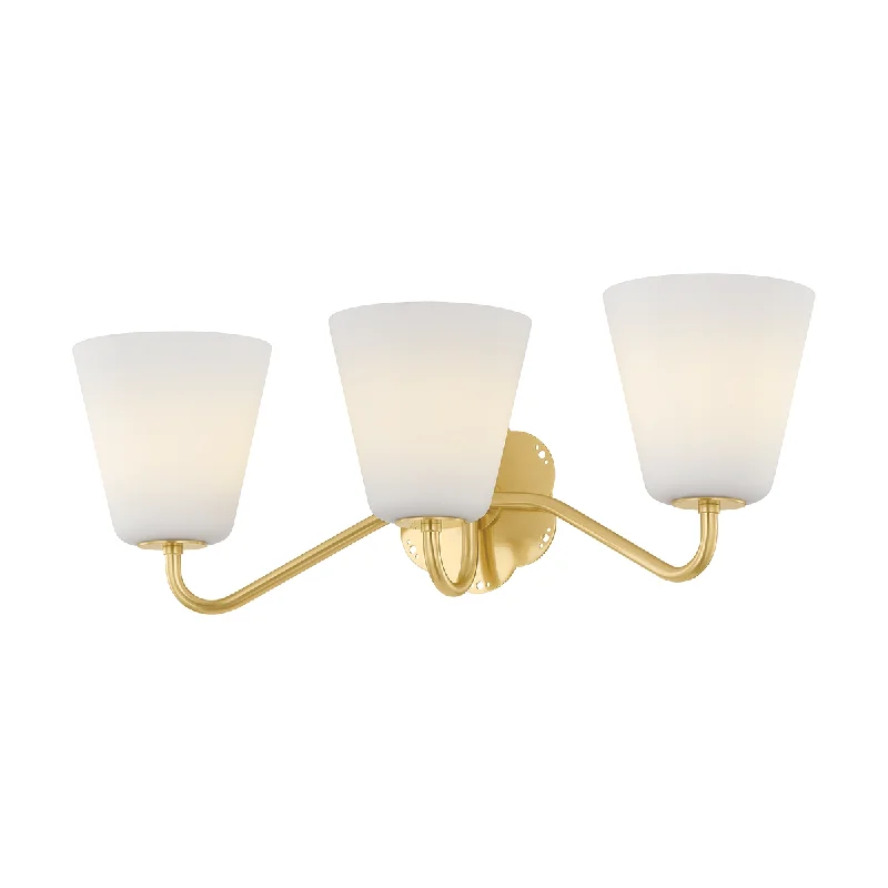 Modern track lighting with LED bulbsLeonella 3-Light Bath and Vanity