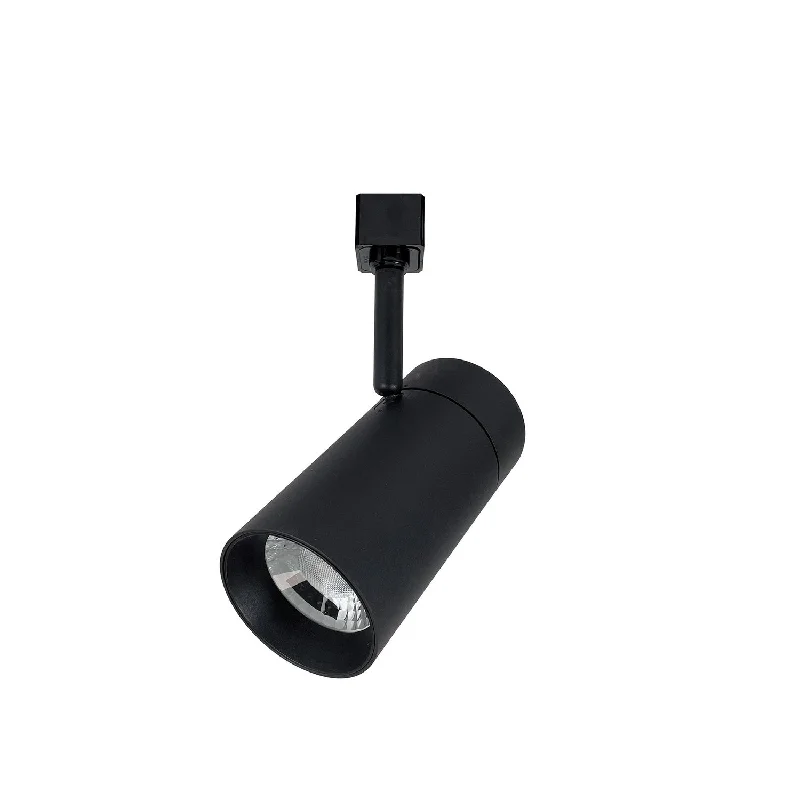 Color - Tunable Industrial Lighting for Special ApplicationsTrack LED LED Track Head Color - Tunable Industrial Lighting for Special ApplicationsTrack LED LED Track Head