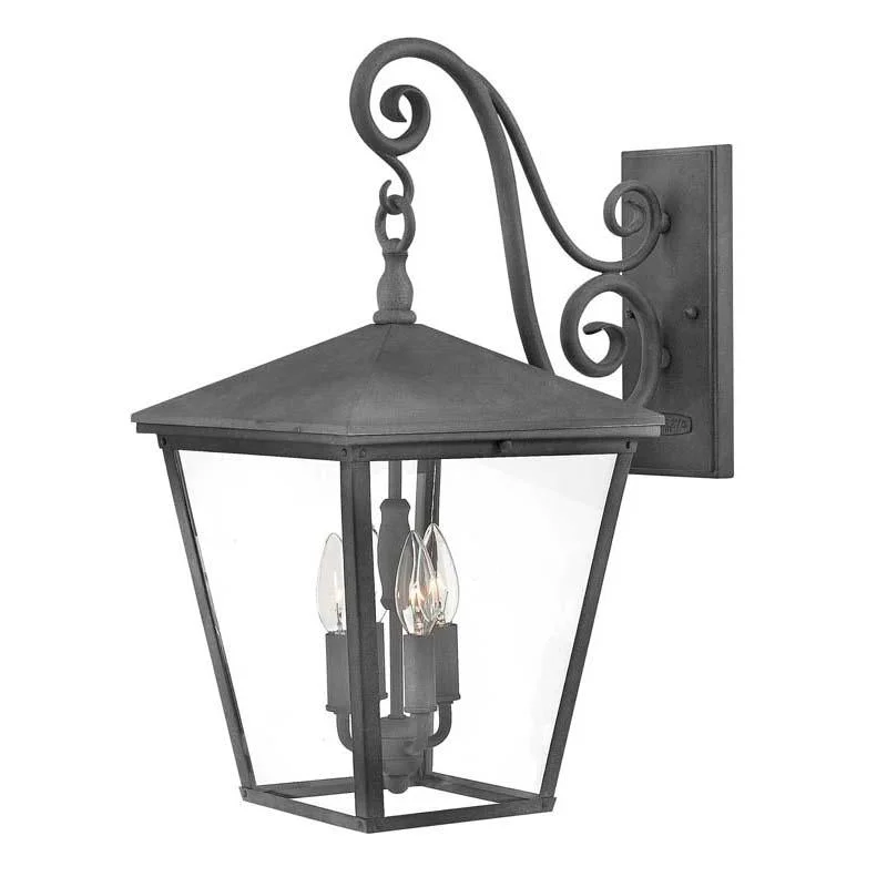 Track lighting with a long - lasting lifespanglass wall lamps with frosted glass for soft, diffused lightHinkley 1435 Outdoor Trellis Wall Light