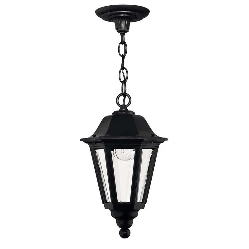 Track lighting with clear glass shadesHinkley 1412BK Outdoor Manor House Black Hanging Light Track lighting with clear glass shadesHinkley 1412BK Outdoor Manor House Black Hanging Light