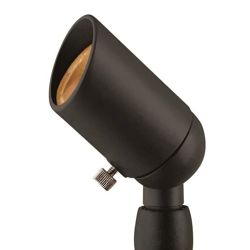 Track lighting for outdoor gardensHinkley 1530BZ Landscape Accent Bronze Spot Light (Min. Quantity 3) Track lighting for outdoor gardensHinkley 1530BZ Landscape Accent Bronze Spot Light (Min. Quantity 3)