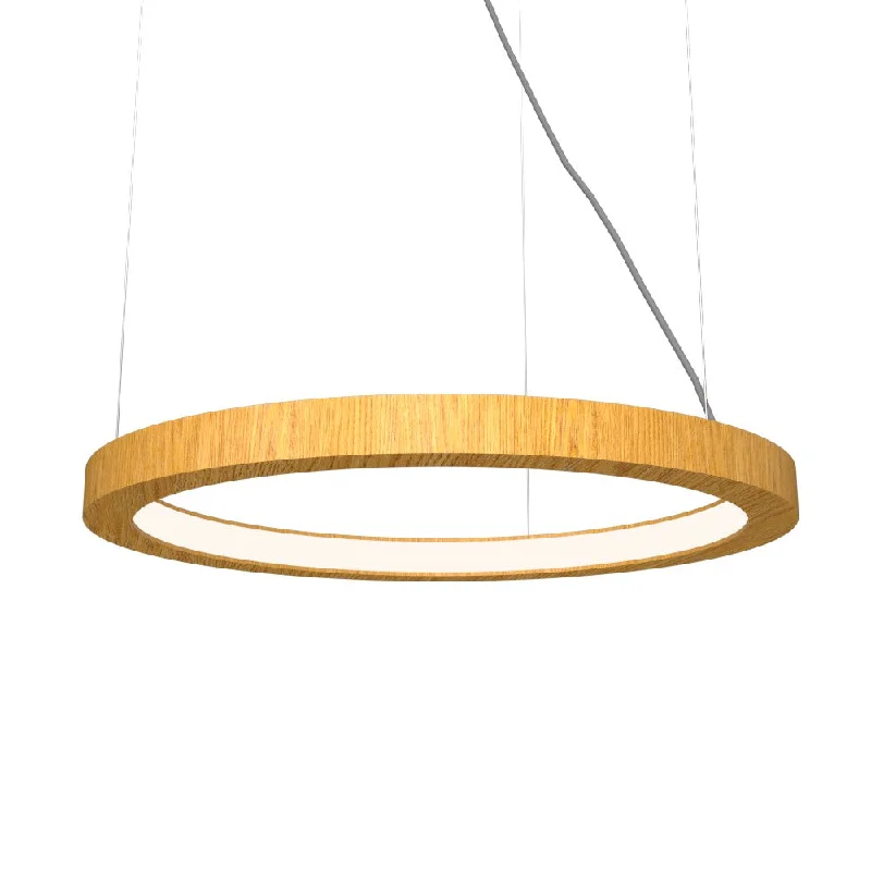 Modern Minimalist Ceiling Lights for Contemporary InteriorsModern Minimalist Ceiling Lights for Contemporary InteriorsAccord Frame 1437LED.43 Pendant Light - Cathedral Freijo