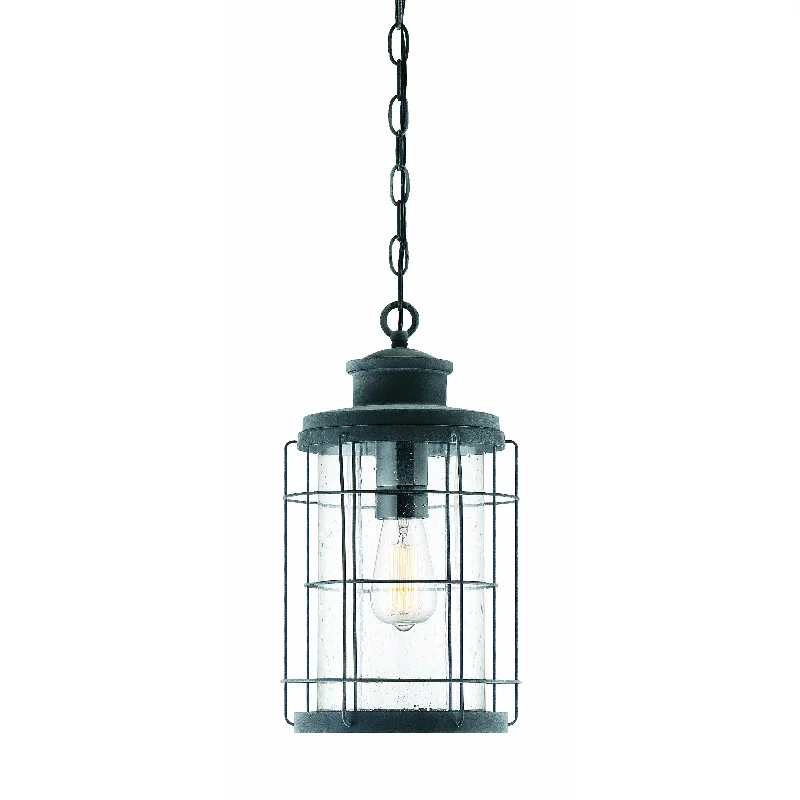 Art Nouveau Ceiling Lights with Organic, Flowing ShapesArt Nouveau Ceiling Lights with Organic, Flowing ShapesFletcher Outdoor Pendant